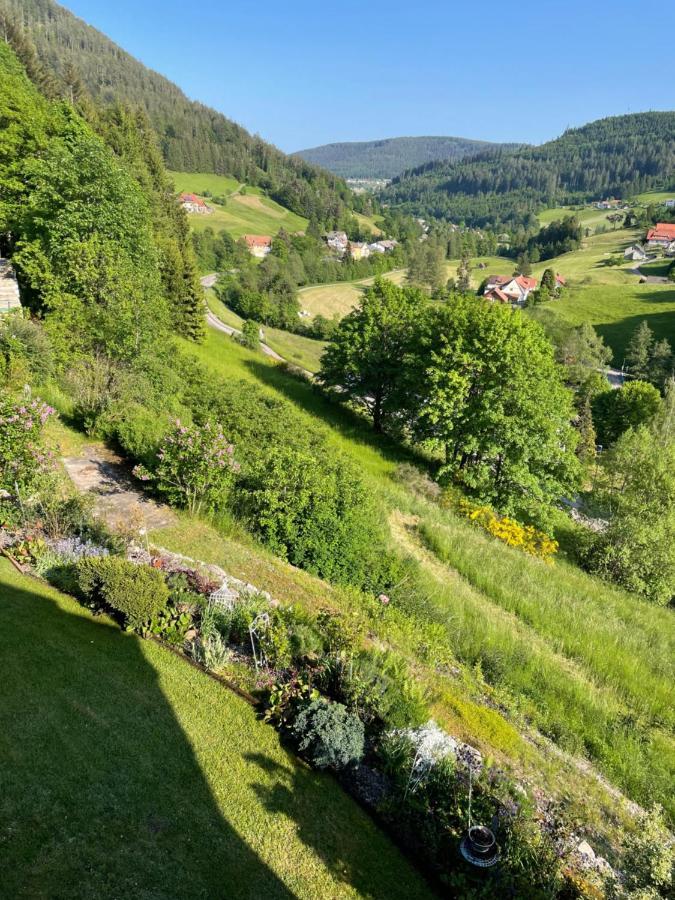 Apartmán Altes Berghaus Obertal  Exteriér fotografie